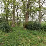 The Nest