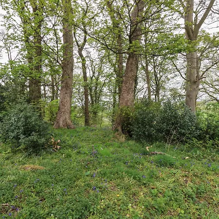 The Nest