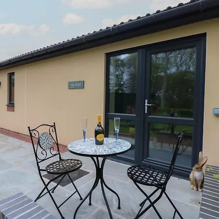 The Nest * Carlisle (Cumbria)