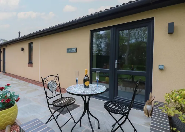 The Nest * Carlisle (Cumbria)